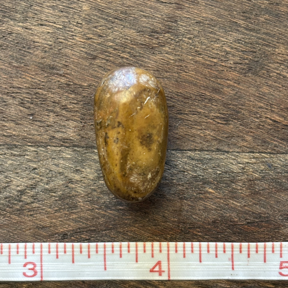 Polished Petrified Wood Agate Natural Stone Brooch Mixed Metal